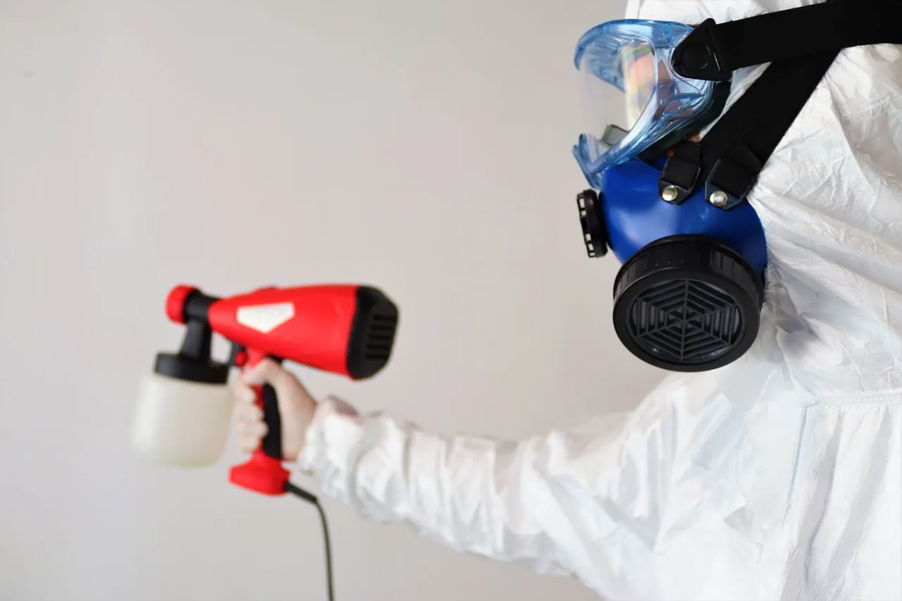 Black Mold Removal